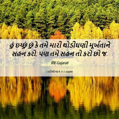 Picture 06 - 2 કરિંથીઓને 11:1 GUJIRV - હું ઇચ્છું છું કે - Bible Verse Picture
