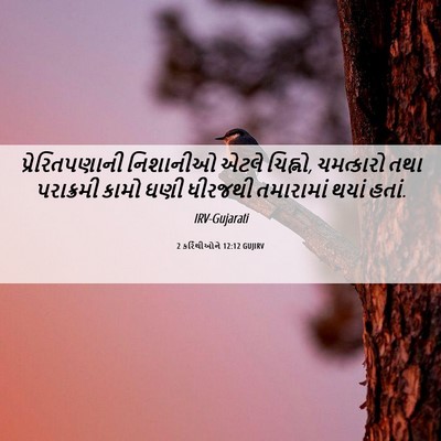 Picture 06 - 2 કરિંથીઓને 12:12 GUJIRV - પ્રેરિતપણાની - Bible Verse Picture