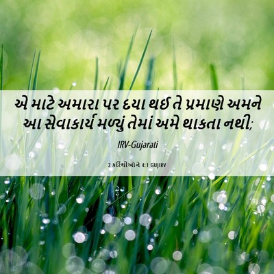 Picture 06 - 2 કરિંથીઓને 4:1 GUJIRV - એ માટે અમારા પર દયા - Bible Verse Picture