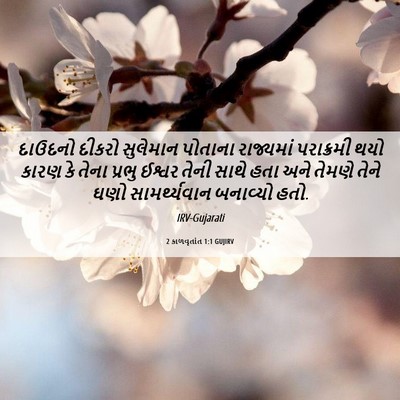 Picture 06 - 2 કાળવૃતાંત 1:1 GUJIRV - દાઉદનો દીકરો - Bible Verse Picture