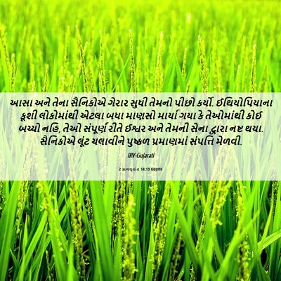 Picture 06 - 2 કાળવૃતાંત 14:13 GUJIRV - આસા અને તેના - Bible Verse Picture