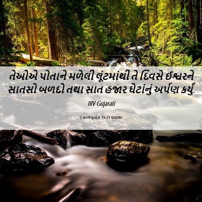 Picture 06 - 2 કાળવૃતાંત 15:11 GUJIRV - તેઓએ પોતાને મળેલી - Bible Verse Picture