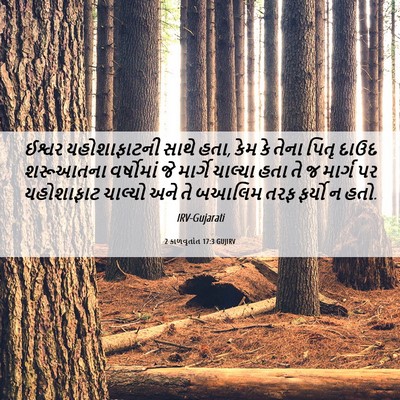 Picture 06 - 2 કાળવૃતાંત 17:3 GUJIRV - ઈશ્વર યહોશાફાટની - Bible Verse Picture