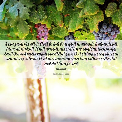 Picture 06 - 2 કાળવૃતાંત 2:14 GUJIRV - તે દાન કુળની એક - Bible Verse Picture