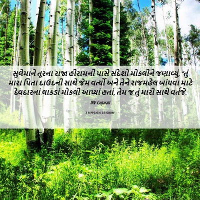 Picture 06 - 2 કાળવૃતાંત 2:3 GUJIRV - સુલેમાને તૂરના - Bible Verse Picture