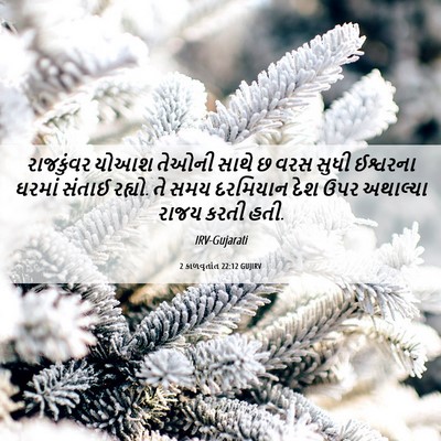 Picture 06 - 2 કાળવૃતાંત 22:12 GUJIRV - રાજકુંવર યોઆશ - Bible Verse Picture
