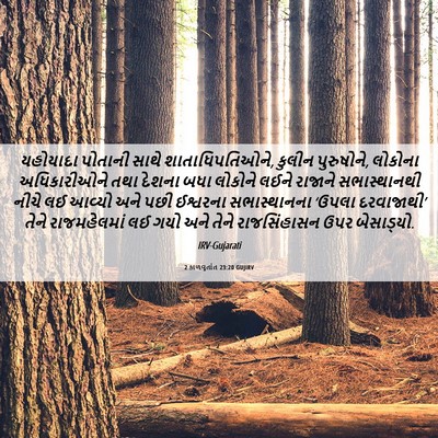 Picture 06 - 2 કાળવૃતાંત 23:20 GUJIRV - યહોયાદા પોતાની - Bible Verse Picture