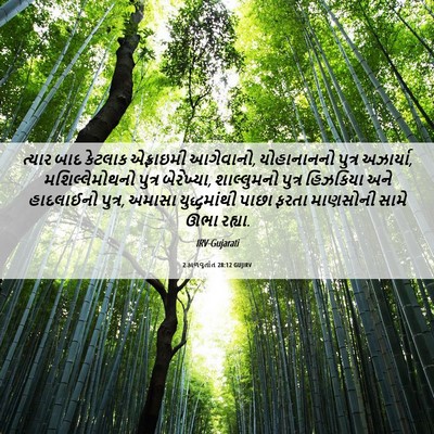 Picture 06 - 2 કાળવૃતાંત 28:12 GUJIRV - ત્યાર બાદ કેટલાક - Bible Verse Picture