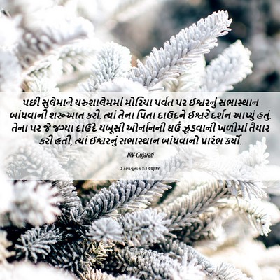 Picture 06 - 2 કાળવૃતાંત 3:1 GUJIRV - પછી સુલેમાને - Bible Verse Picture