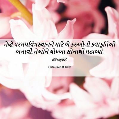 Picture 06 - 2 કાળવૃતાંત 3:10 GUJIRV - તેણે - Bible Verse Picture