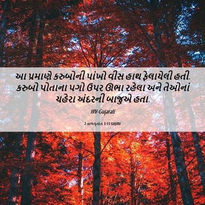 Picture 06 - 2 કાળવૃતાંત 3:13 GUJIRV - આ પ્રમાણે કરુબોની - Bible Verse Picture