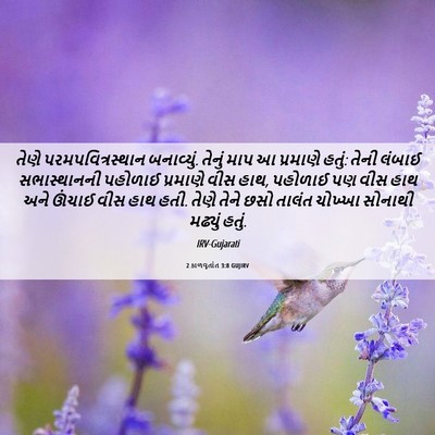 Picture 06 - 2 કાળવૃતાંત 3:8 GUJIRV - તેણે - Bible Verse Picture