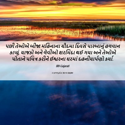 Picture 06 - 2 કાળવૃતાંત 30:15 GUJIRV - પછી તેઓએ બીજા - Bible Verse Picture