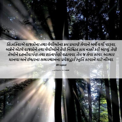 Picture 06 - 2 કાળવૃતાંત 31:2 GUJIRV - હિઝકિયાએ યાજકોના - Bible Verse Picture