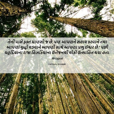 Picture 06 - 2 કાળવૃતાંત 32:8 GUJIRV - તેની પાસે ફક્ત - Bible Verse Picture