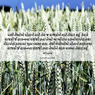 Picture 06 - 2 કાળવૃતાંત 35:14 GUJIRV - પછી તેઓએ પોતાને - Bible Verse Picture