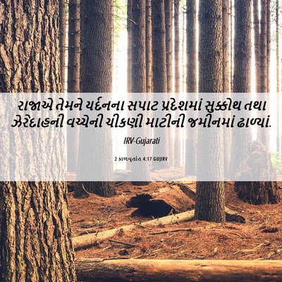 Picture 06 - 2 કાળવૃતાંત 4:17 GUJIRV - રાજાએ તેમને - Bible Verse Picture