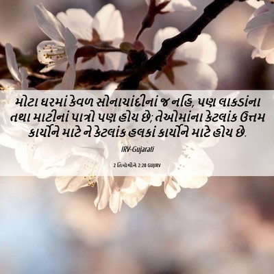 Picture 06 - 2 તિમોથીને 2:20 GUJIRV - મોટા ઘરમાં કેવળ - Bible Verse Picture
