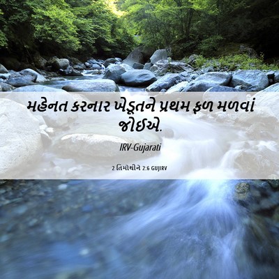 Picture 06 - 2 તિમોથીને 2:6 GUJIRV - મહેનત કરનાર - Bible Verse Picture