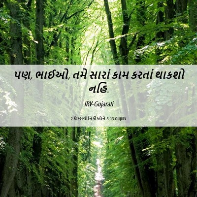 Picture 06 - 2 થેસ્સલોનિકીઓને 3:13 GUJIRV - પણ, ભાઈઓ, તમે સારાં - Bible Verse Picture