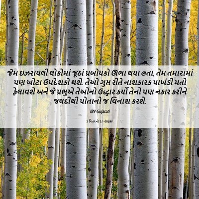 Picture 06 - 2 પિતરનો 2:1 GUJIRV - જેમ ઇઝરાયલી - Bible Verse Picture