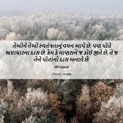 Picture 06 - 2 પિતરનો 2:19 GUJIRV - તેઓને તેઓ - Bible Verse Picture