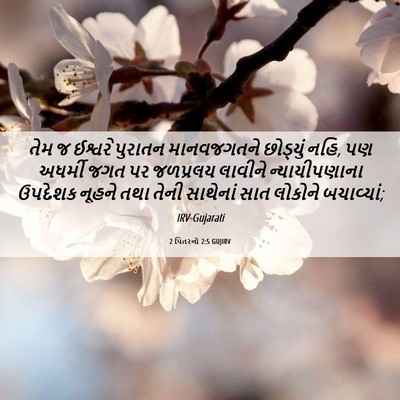 Picture 06 - 2 પિતરનો 2:5 GUJIRV - તેમ જ ઈશ્વરે - Bible Verse Picture