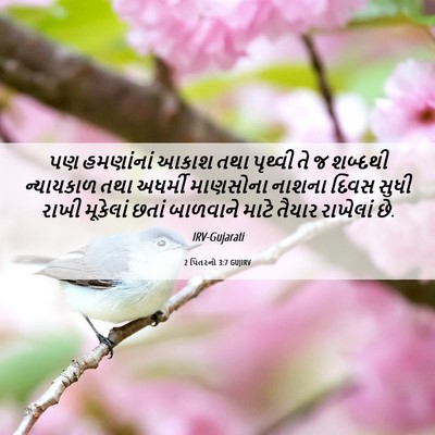 Picture 06 - 2 પિતરનો 3:7 GUJIRV - પણ હમણાંનાં આકાશ - Bible Verse Picture