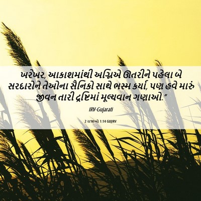 Picture 06 - 2 રાજાઓ 1:14 GUJIRV - ખરેખર, આકાશમાંથી - Bible Verse Picture