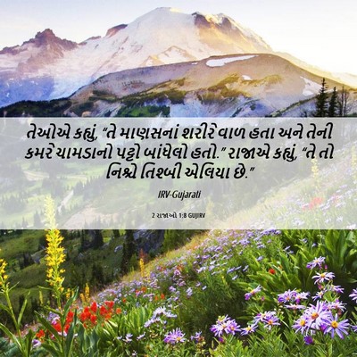 Picture 06 - 2 રાજાઓ 1:8 GUJIRV - તેઓએ કહ્યું, “તે - Bible Verse Picture