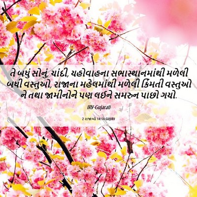 Picture 06 - 2 રાજાઓ 14:14 GUJIRV - તે બધું સોનું, - Bible Verse Picture