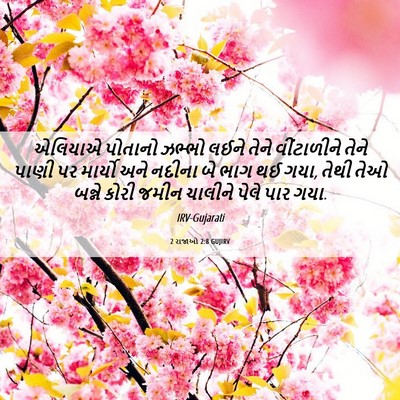 Picture 06 - 2 રાજાઓ 2:8 GUJIRV - એલિયાએ પોતાનો - Bible Verse Picture