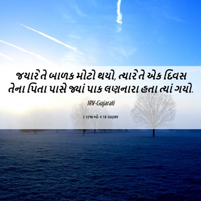Picture 06 - 2 રાજાઓ 4:18 GUJIRV - જયારે તે બાળક મોટો - Bible Verse Picture