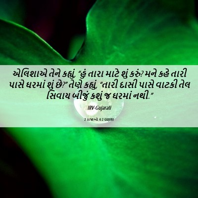 Picture 06 - 2 રાજાઓ 4:2 GUJIRV - એલિશાએ તેને - Bible Verse Picture