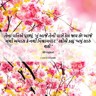 Picture 06 - 2 રાજાઓ 4:23 GUJIRV - તેના પતિએ પૂછ્યું, - Bible Verse Picture