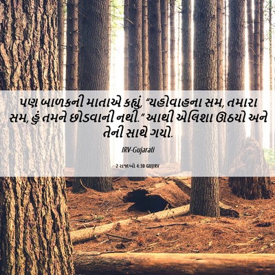 Picture 06 - 2 રાજાઓ 4:30 GUJIRV - પણ બાળકની માતાએ - Bible Verse Picture