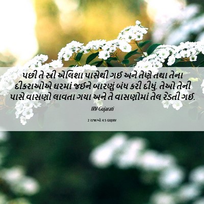 Picture 06 - 2 રાજાઓ 4:5 GUJIRV - પછી તે સ્રી એલિશા - Bible Verse Picture
