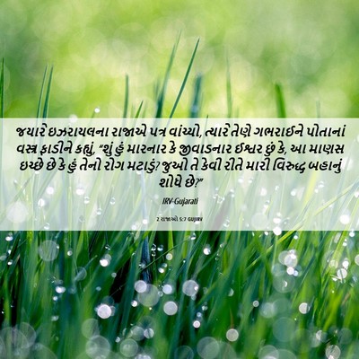 Picture 06 - 2 રાજાઓ 5:7 GUJIRV - જયારે ઇઝરાયલના - Bible Verse Picture