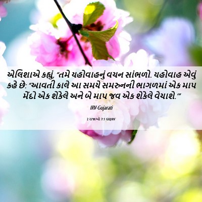 Picture 06 - 2 રાજાઓ 7:1 GUJIRV - એલિશાએ કહ્યું, - Bible Verse Picture