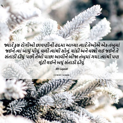 Picture 06 - 2 રાજાઓ 7:8 GUJIRV - જ્યારે કુષ્ઠ - Bible Verse Picture