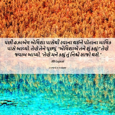Picture 06 - 2 રાજાઓ 8:14 GUJIRV - પછી હઝાએલ એલિશા - Bible Verse Picture