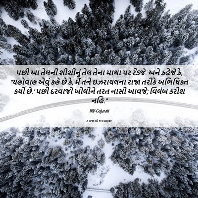 Picture 06 - 2 રાજાઓ 9:3 GUJIRV - પછી આ તેલની - Bible Verse Picture
