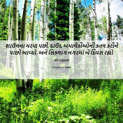 Picture 06 - 2 શમુએલ 1:1 GUJIRV - શાઉલના મરણ પછી, - Bible Verse Picture