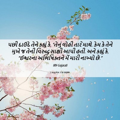 Picture 06 - 2 શમુએલ 1:16 GUJIRV - પછી દાઉદે તેને - Bible Verse Picture