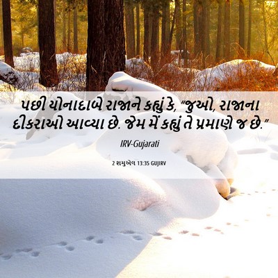 Picture 06 - 2 શમુએલ 13:35 GUJIRV - પછી યોનાદાબે - Bible Verse Picture
