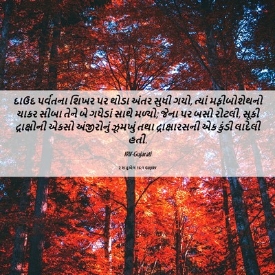 Picture 06 - 2 શમુએલ 16:1 GUJIRV - દાઉદ પર્વતના શિખર - Bible Verse Picture