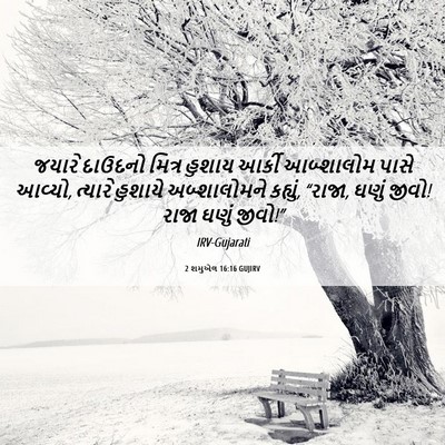 Picture 06 - 2 શમુએલ 16:16 GUJIRV - જયારે દાઉદનો - Bible Verse Picture