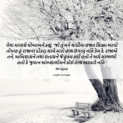 Picture 06 - 2 શમુએલ 18:12 GUJIRV - પેલા માણસે યોઆબને - Bible Verse Picture