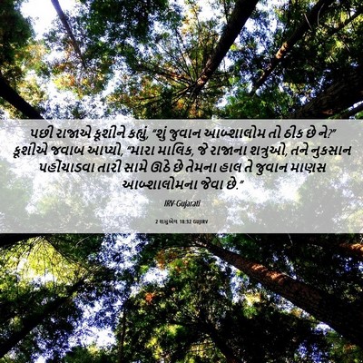 Picture 06 - 2 શમુએલ 18:32 GUJIRV - પછી રાજાએ કૂશીને - Bible Verse Picture