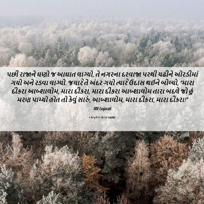 Picture 06 - 2 શમુએલ 18:33 GUJIRV - પછી રાજાને ઘણો જ - Bible Verse Picture